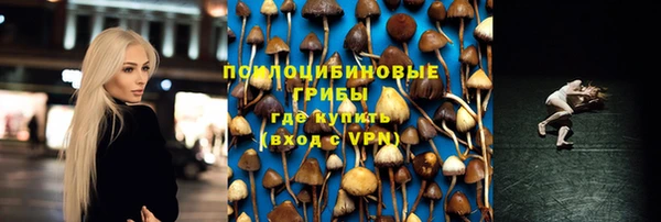 трава Богородицк