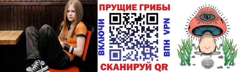 даркнет сайт  гидра сайт  Галлюциногенные грибы MAGIC MUSHROOMS  Динская 